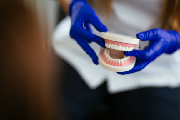 Best Root Canal Treatment  in Three Forks, MT